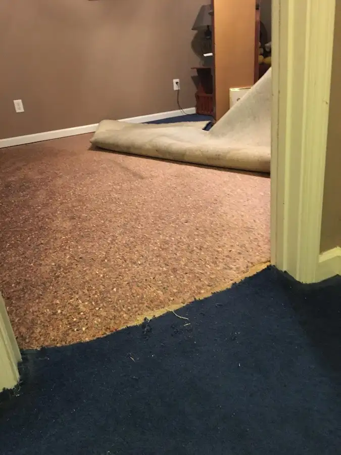 Carpet pad removal revealing water damage during Water Mitigation Services in Carteret